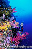 Scuba Diver Soft Coral reef Photo - Gary Bell