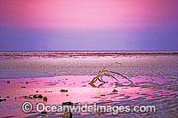 Heron Island seascape Photo - Gary Bell