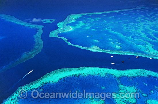 Aerial Hook Hardy Reef photo