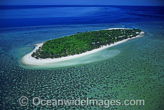Aerial Heron Island photo