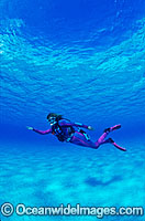 Scuba Diver in Great Barrier Reef Photo - Gary Bell
