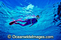 Snorkeller on Great Barrier Reef Photo - Gary Bell
