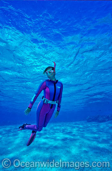 Snorkeler on Great Barrier Reef photo