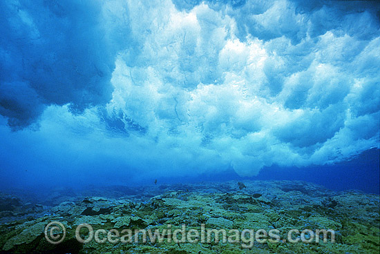 Breaking wave Coral reef photo