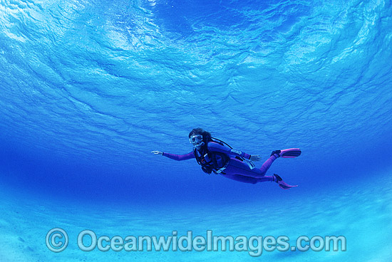 Scuba Diver clear blue water photo