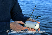 CSIRO satelite device for Great White Shark Photo - Gary Bell