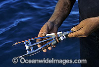 Harpoon device Shark identification tag transmitting device Photo - Gary Bell