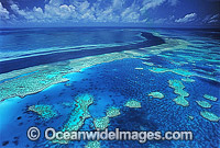 Aerial Hook Hardy Reef Photo - Gary Bell