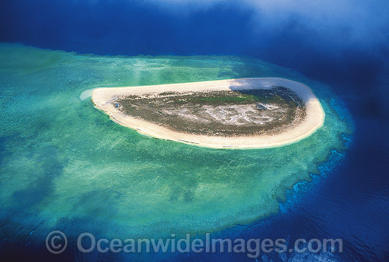 Aerial Raine Island photo