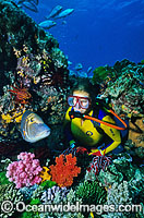Scuba Diver with tropical fish Photo - Gary Bell
