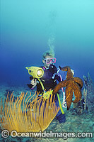 Scuba Diver with Giant Starfish Photo - Gary Bell