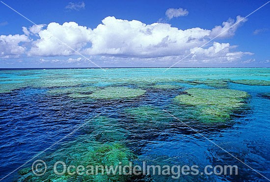 Great Detached Reef photo