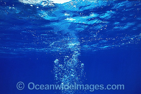 Underwater bubbles photo
