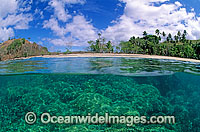 tropical island beach Coral reef Photo - Gary Bell