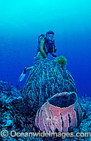 Scuba Diver with giant Barrel Sponges Photo - Gary Bell