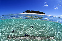 Palm fringed tropical island Photo - Gary Bell