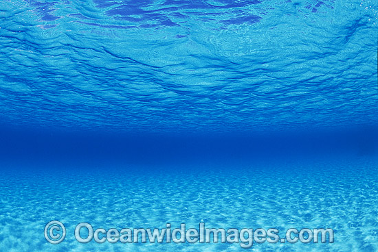 Underwater sandy sea floor photo