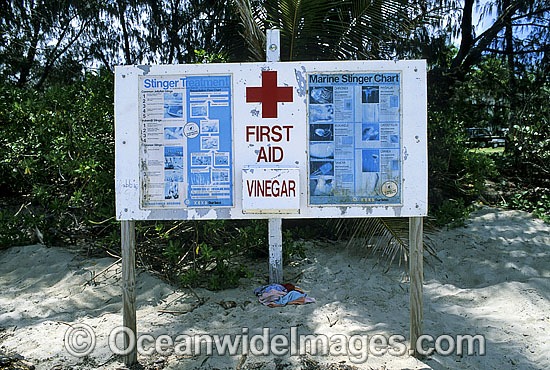 Jellyfish warning sign Port Douglas photo