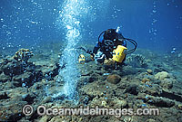 Scuba Diver and Underwater Volcanoe Vent Photo - Gary Bell