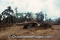 Rainforest Logging Papua Photo - Gary Bell