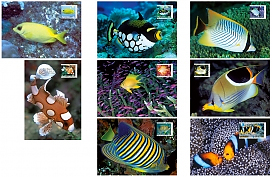 Fishes of the Reef