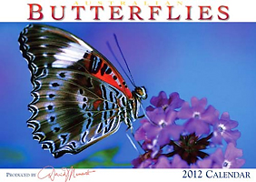Butterfly Calendar