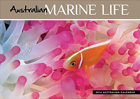 Australian Marine Life