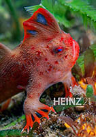 Handfish Heinz Magaine