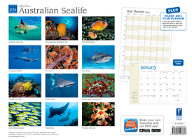 Gary Bell - Australian Underwater Photographer