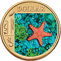 Biscuit Sea Star Coin