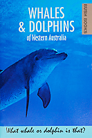 Whales and Dolphins book