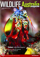 Mantis Shrimp Wildlife Magazine