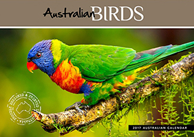 Australian Birds Calendar 2017
