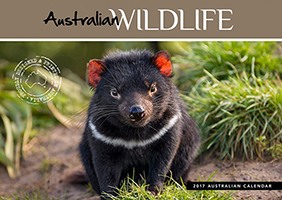 Australian Wildlife Calendar 2017