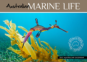 Australia Marine Life Calendar 2017