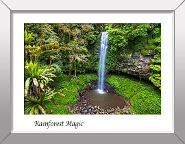 Rainforest Waterfall Print