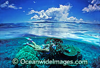 Half under and half over water picture of female Snorkel Diver / Snorkeler exploring Coral reef. Fijian Islands