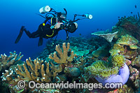Underwater photographer exploring and photographing a tropical coral reef at Christmas Island, Indian Ocean, Australia.