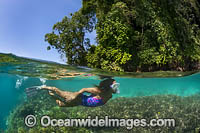Under over picture of a Snorkel Diver exploring a tropical island coral reef. Kimbe Bay, Papua New Guinea.