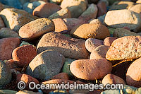 Beach Scene - beach rock exposed during low tide. Hayman Island, Whitsunday Islands, Queensland, Australia