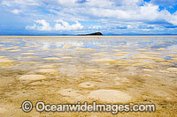 Exposed sand flats at Hayman Island during low tide. Whitsunday Islands, Queensland, Australia