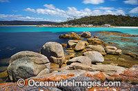 Lichen covered granite boulder coastline. Bay of Fires, Tasmania, Australia.