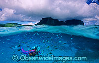 Photograph beneath the ocean and above the ocean at Lord Howe Island