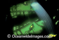 Scuba Diver exploring the inside of HMAS 'Cerberus' shipwreck. Port Phillip Bay, Victoria, Australia.