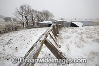 Old country wool shed cloaked in snow, Black Mountain, New South Wales, Australia.