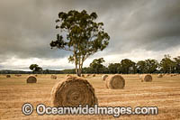 Field dotted with hay bales. Country New South Wales, near Coolac, Australia.