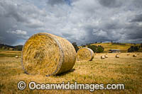 Field dotted with hay bales. Country New South Wales, near Coolac, Australia.