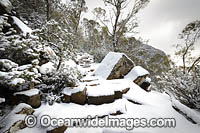 Zig Zag Track covered in snow. Mount Wellington, Tasmania, Australia.