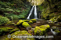 Cascade Falls. New England World Heritage National Park, New South Wales, Australia. This rainforest is on the World Heritage List in recognition of its outstanding universal value.