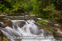 Magic Pools, situated in rainforest in the Orara Valley, near Coffs Harbour, New South Wales, Australia.
